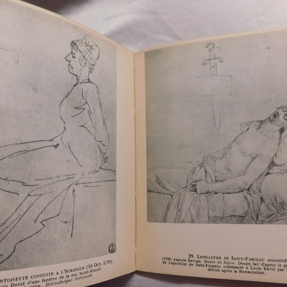 Louis David Collection Des Maitres Art History Book Vintage in French - Picture 8 of 10